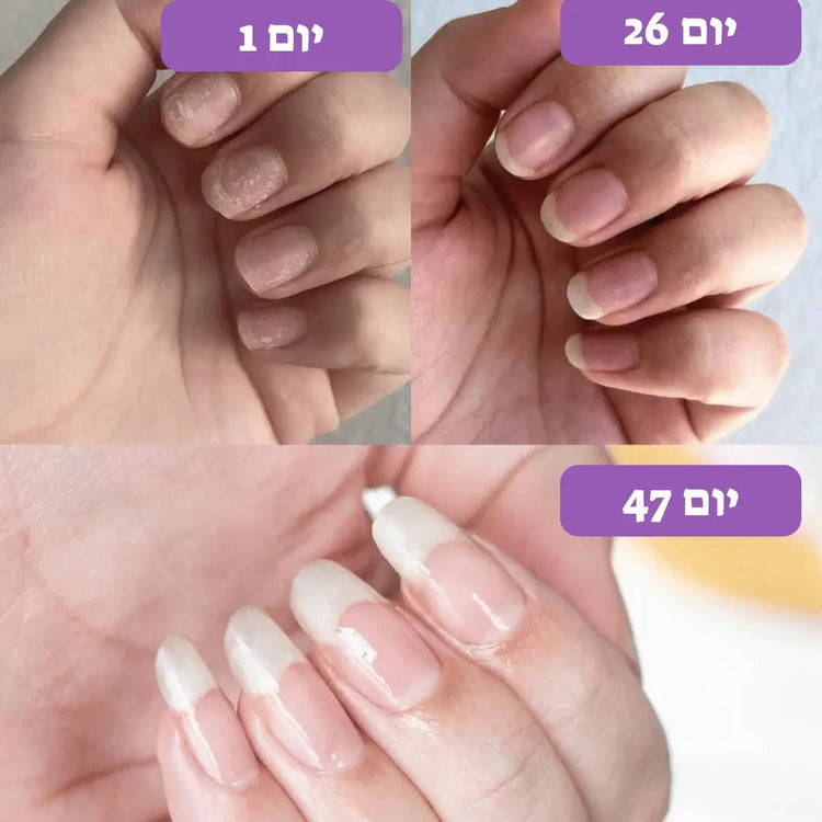 Koncherto Nails Grow koncherto