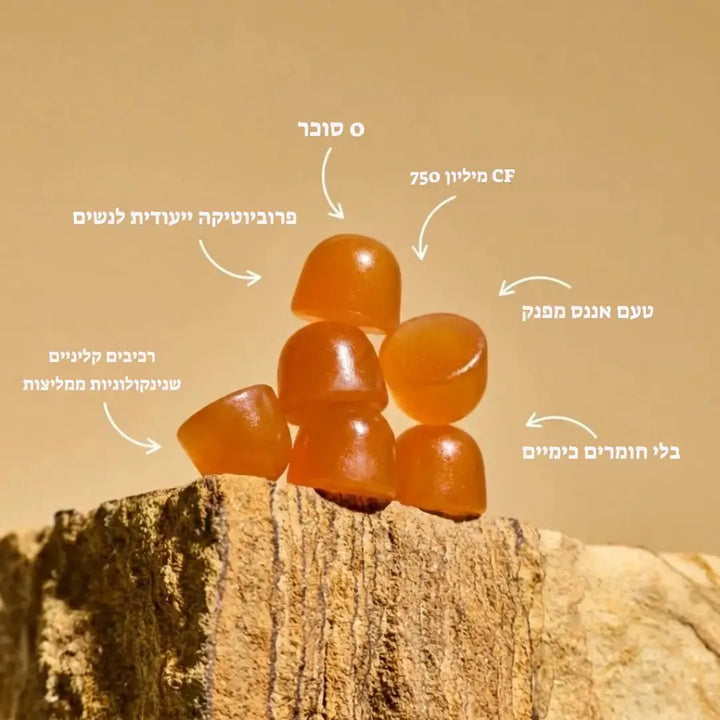 Koncherto Balance™ koncherto